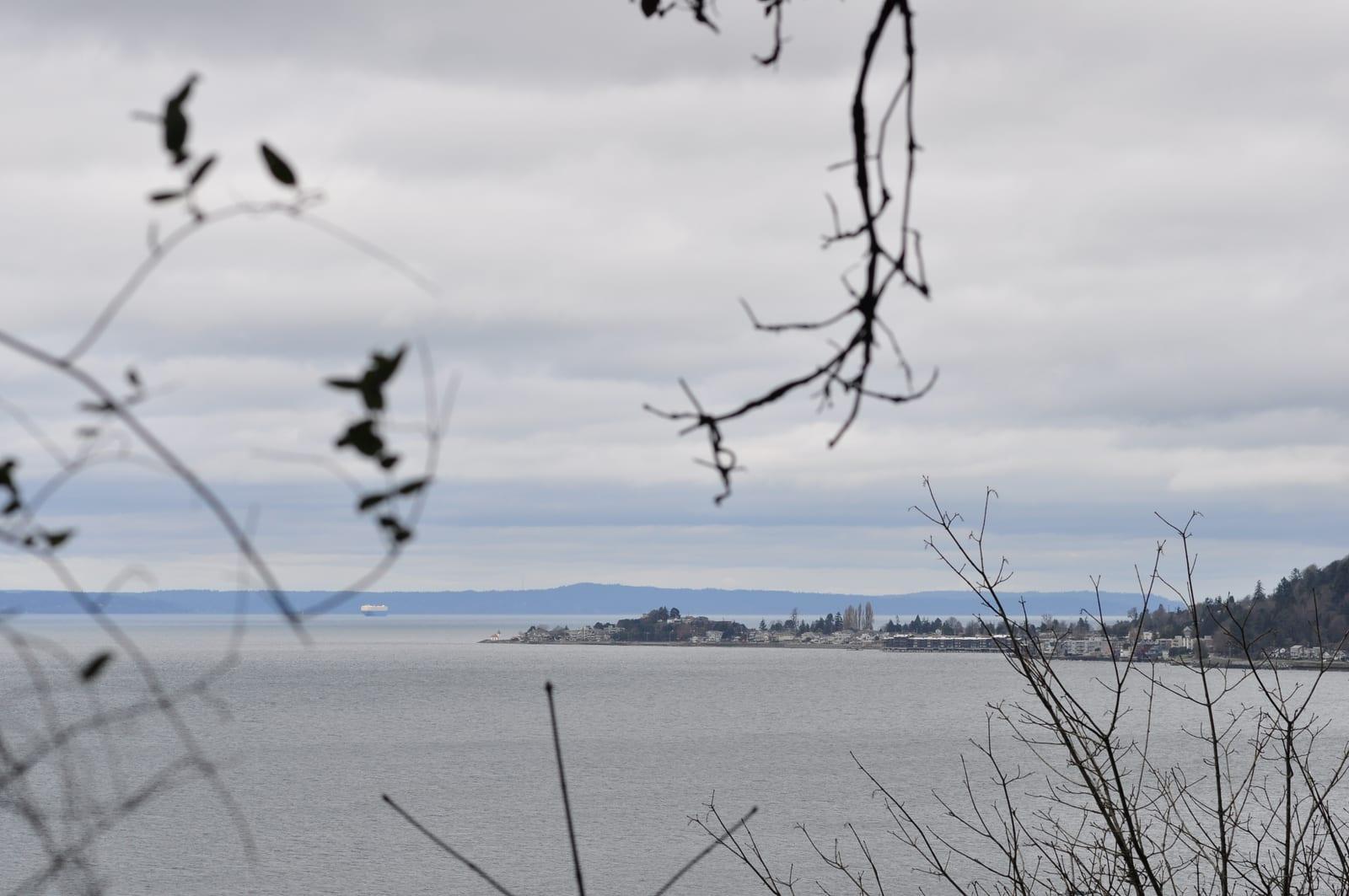 Alki Point and its lighthouse seen across the water from Lincoln Park in West Seattle.