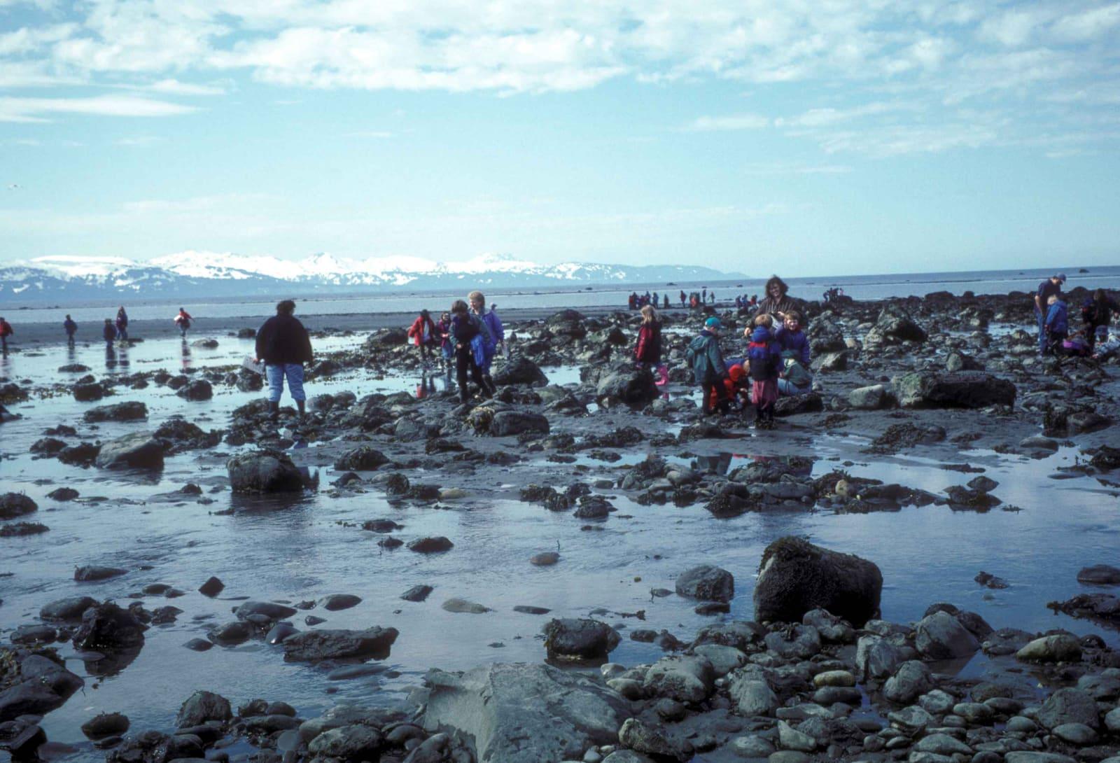 The wide tidal beach and low coastal bluffs at Bishop's Beach in Homer, Alaska, on Kachemak Bay.