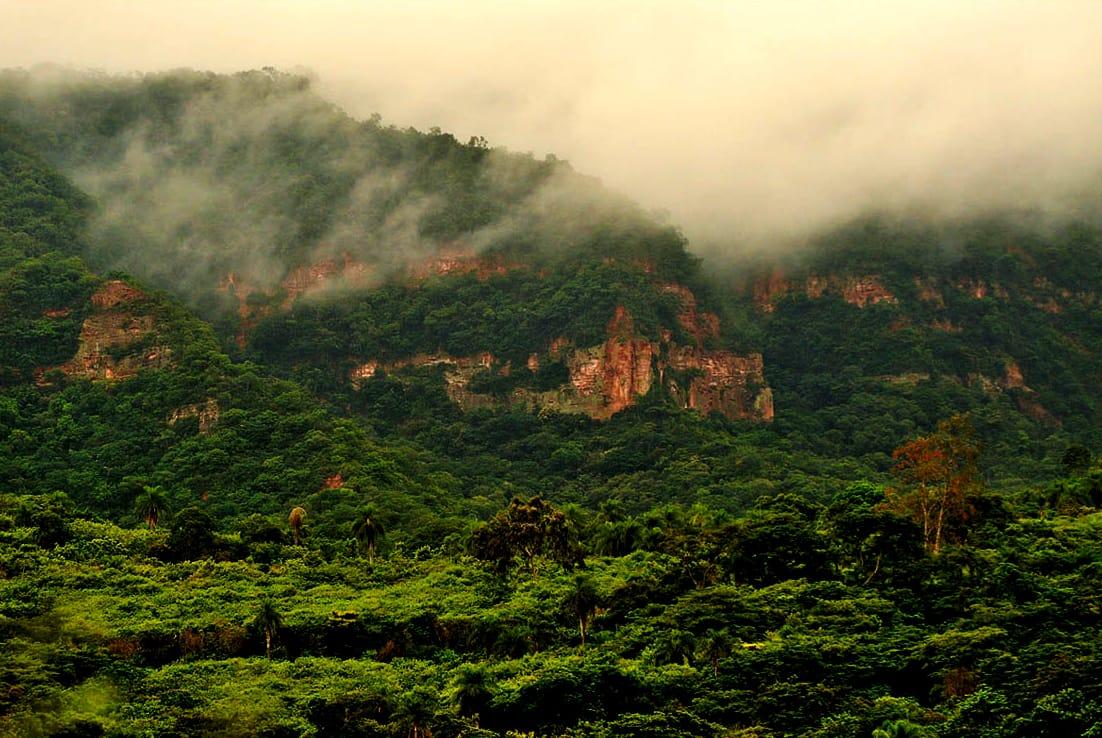Red sandstone cliffs emerging from misty rainforest on a green ridge in the Araripe Geopark, Ceara, Brazil.