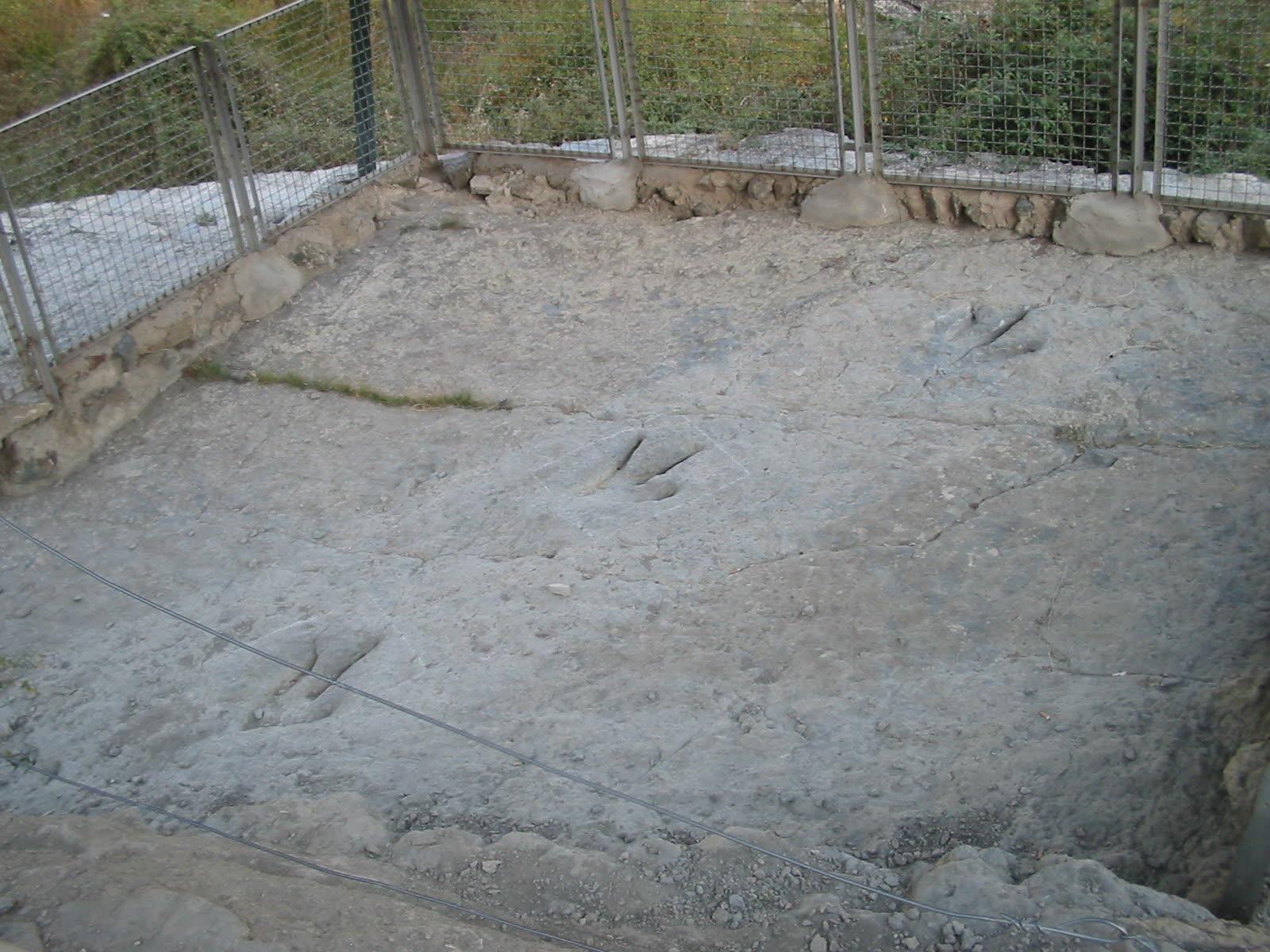 Wire-fenced rock surface edged with stones, with three three-toed dinosaur footprints in the pale rock and a cable across the foreground.