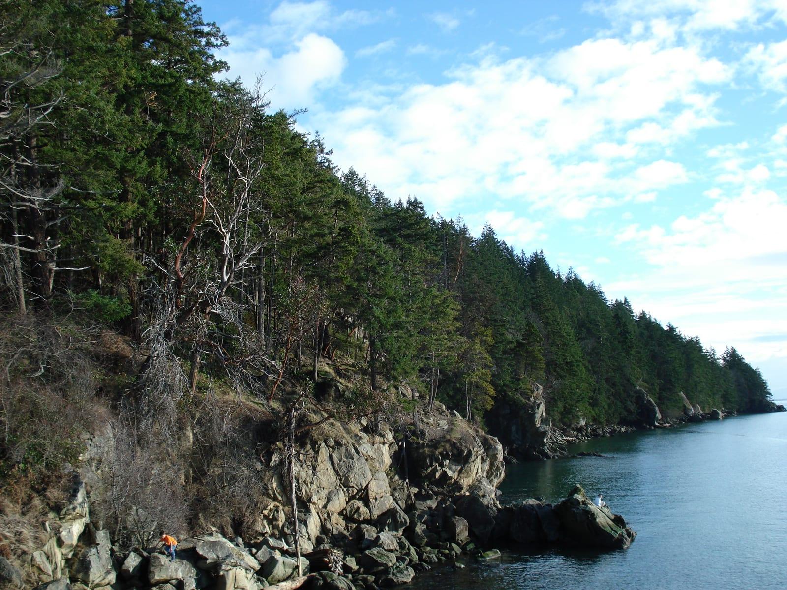 The rocky shoreline of Larrabee State Park on Samish Bay, Washington.