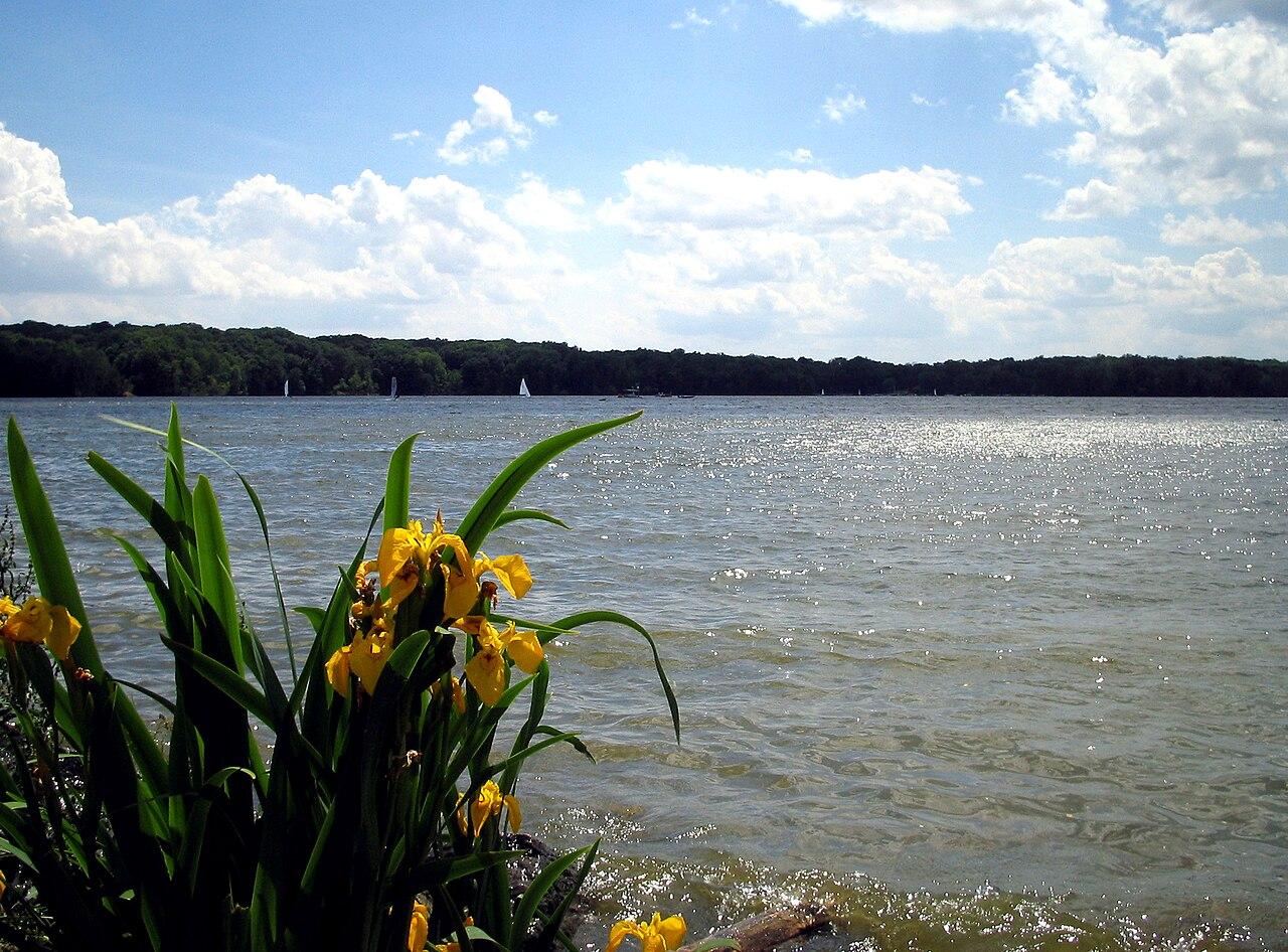 Calm open water and wooded shoreline at Cowan Lake, north-east of Cincinnati, Ohio.