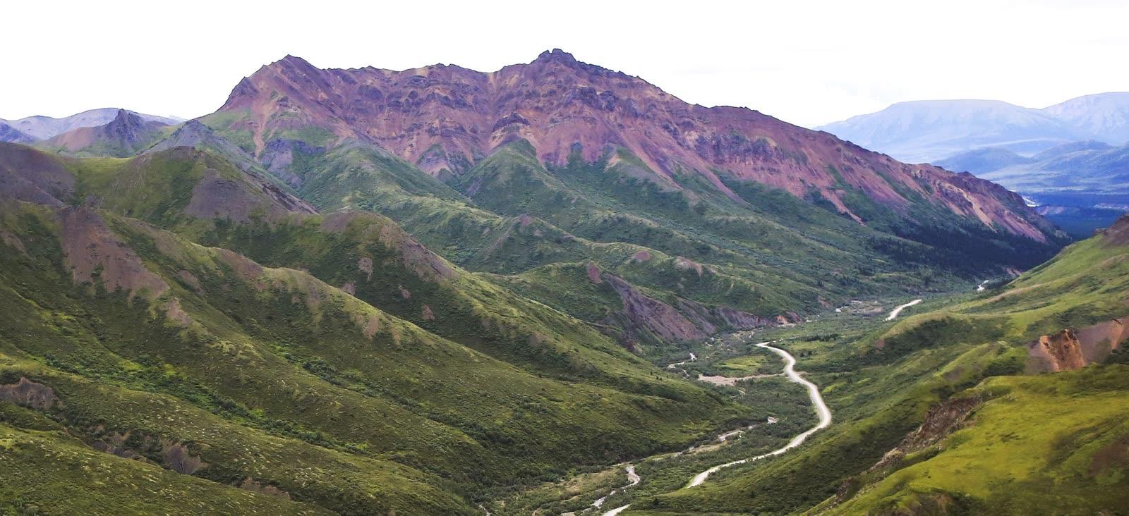 Green valley of Igloo Creek below Igloo Mountain with the Denali Park Road winding through Igloo Canyon
