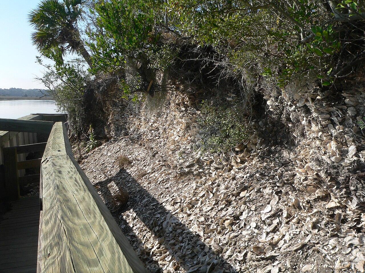 The Spanish Mount shell midden seen from the boardwalk at Edisto Beach State Park, South Carolina.
