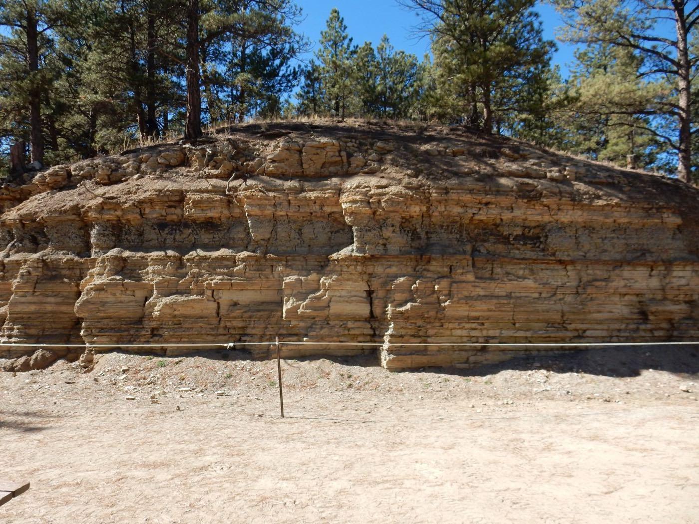 A pale rock outcrop of the Florissant Formation, Colorado.