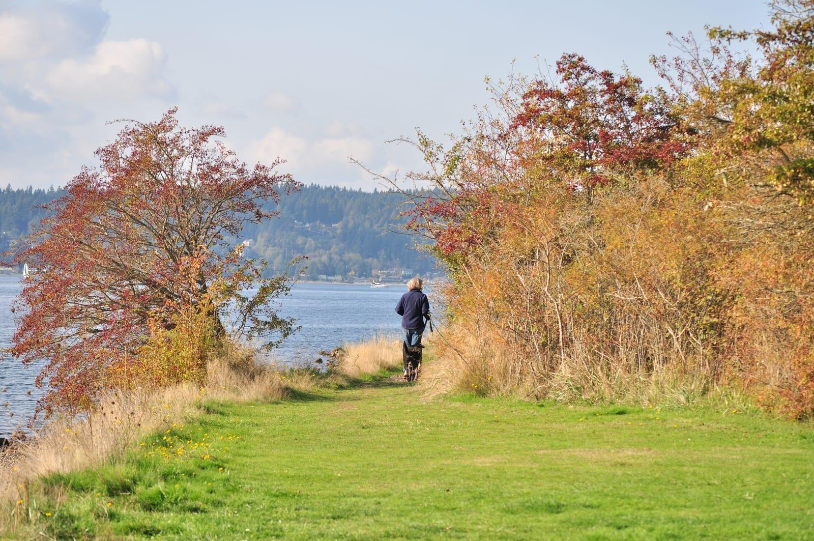 Shoreline and forest at Fort Ward Park on the south end of Bainbridge Island, Washington.