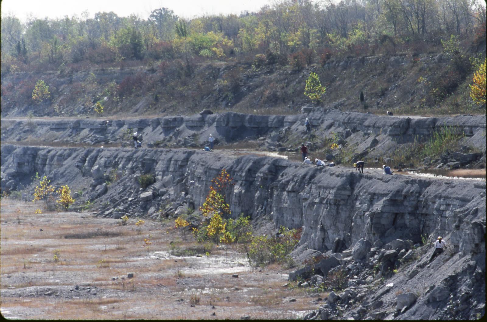 Interbedded limestone and grey shale of the Middle Devonian Silica Formation in the quarry face at Sylvania, Lucas County, Ohio