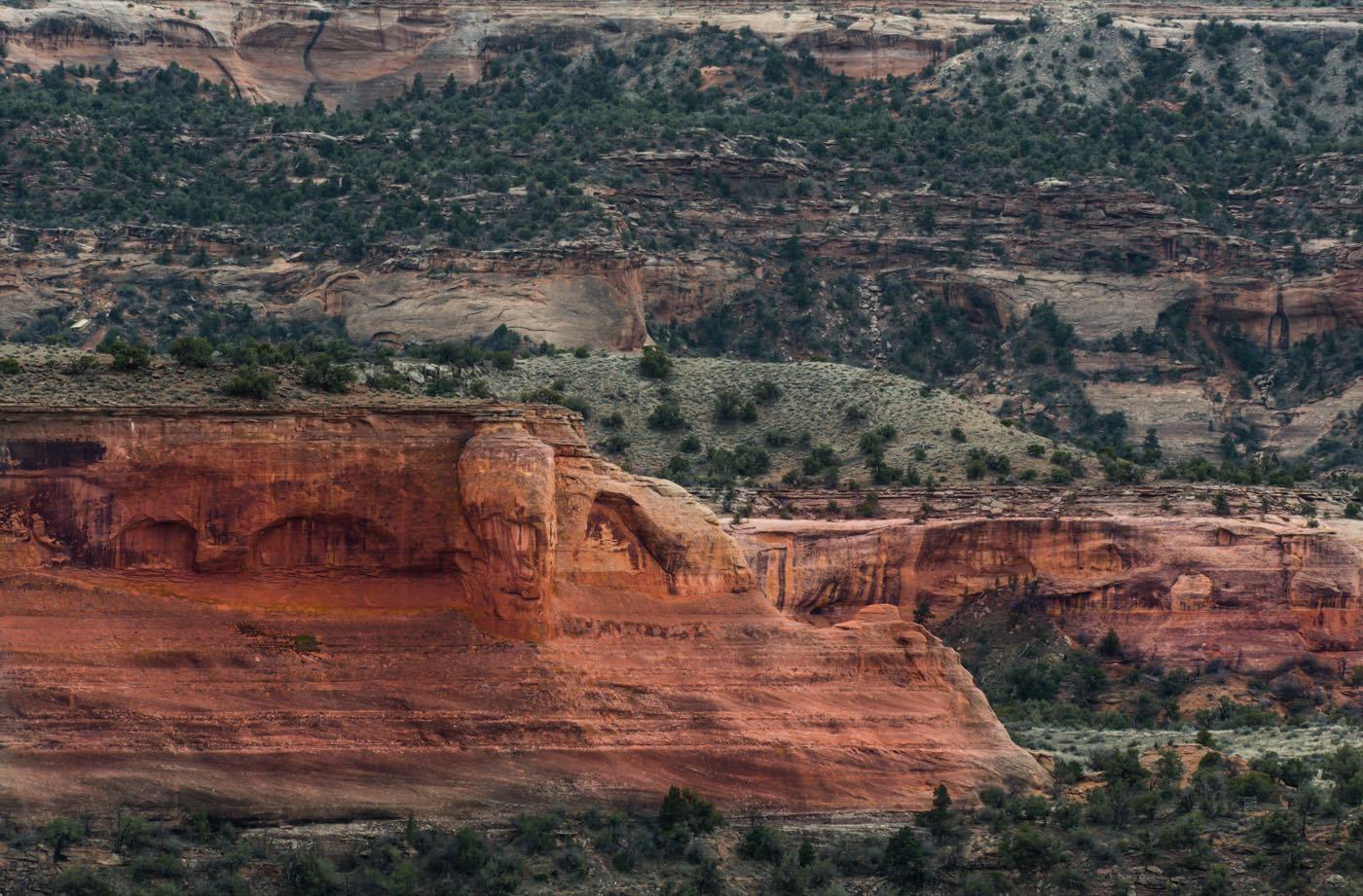 Red sandstone cliffs above desert scrub near Fruita, Colorado.