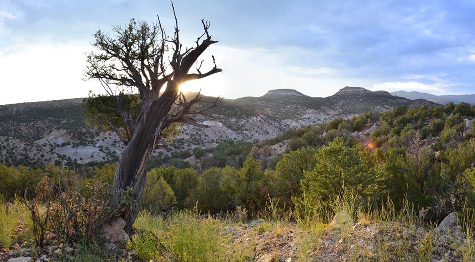 The Garden Park Fossil Area north of Cañon City, Colorado, where Morrison Formation dinosaur quarries are protected on public land