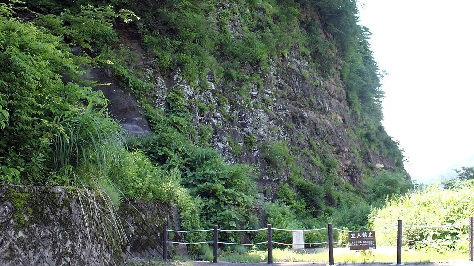 The Kuwajima Fossil Wall seen from the roadside viewing place, a steep rock face behind a rope barrier and a Hakusan City no-entry sign