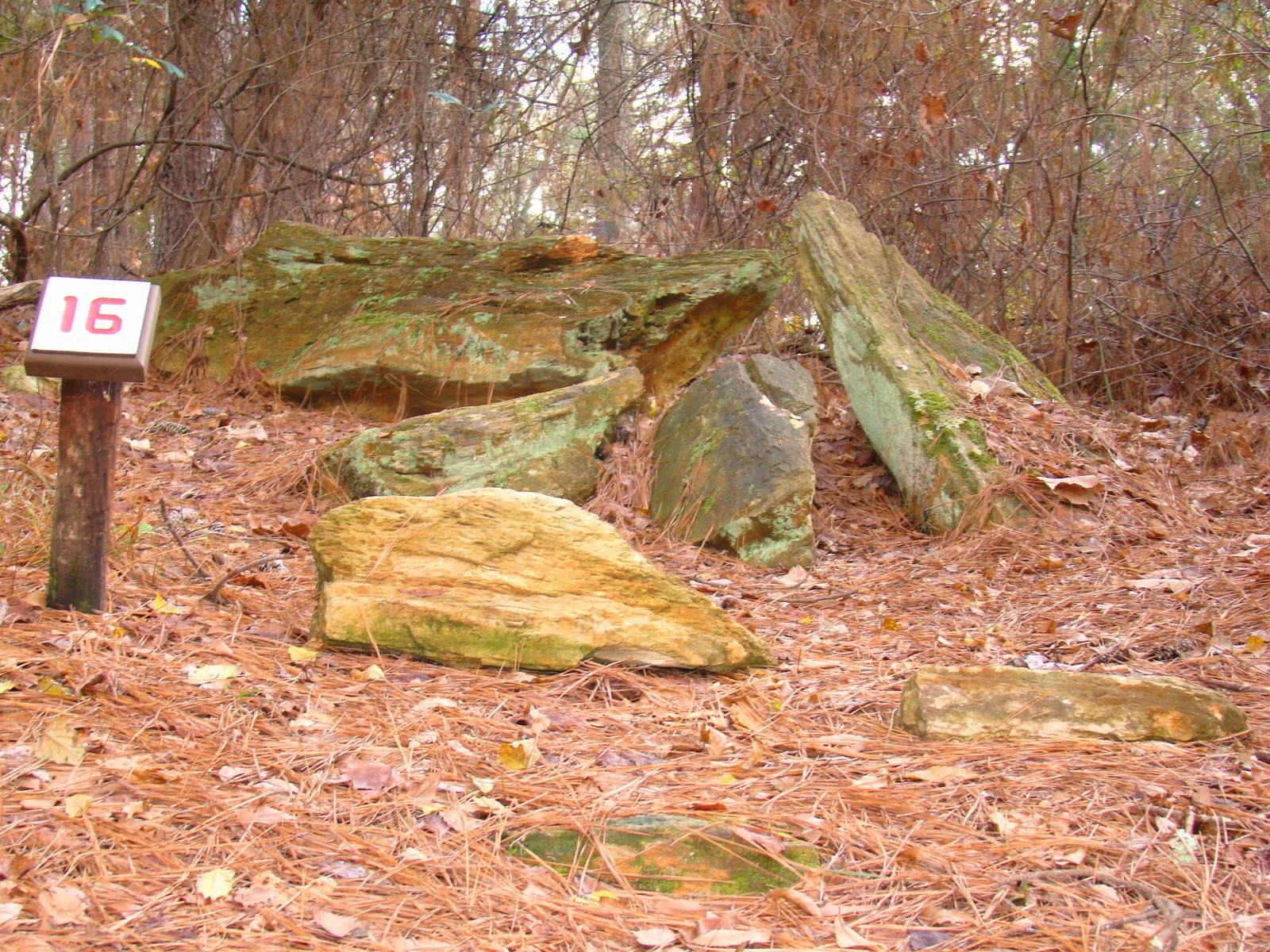 Large petrified logs lying along the nature trail at the Mississippi Petrified Forest near Flora.