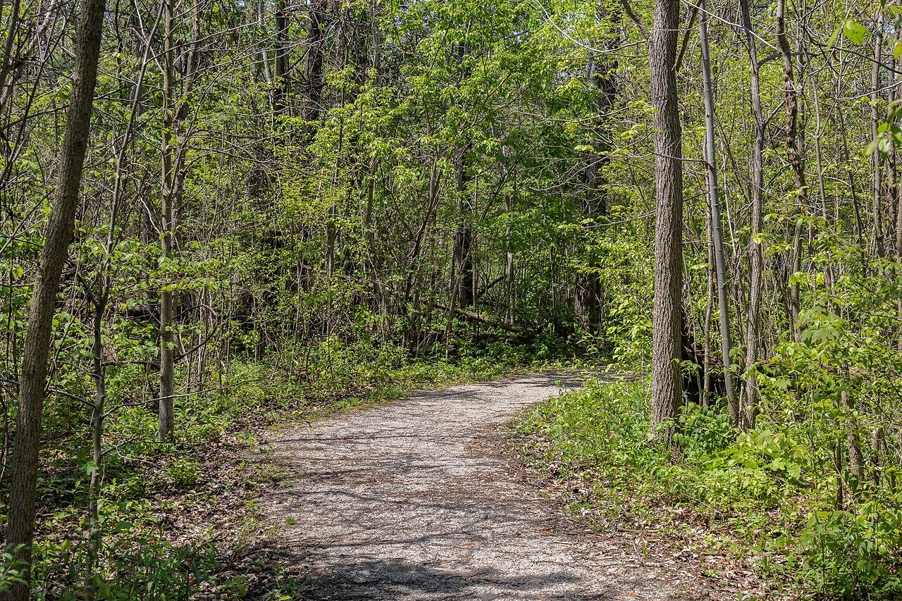 A wooded trail running above the river gorge at Rock Glen Conservation Area, Arkona, Ontario.