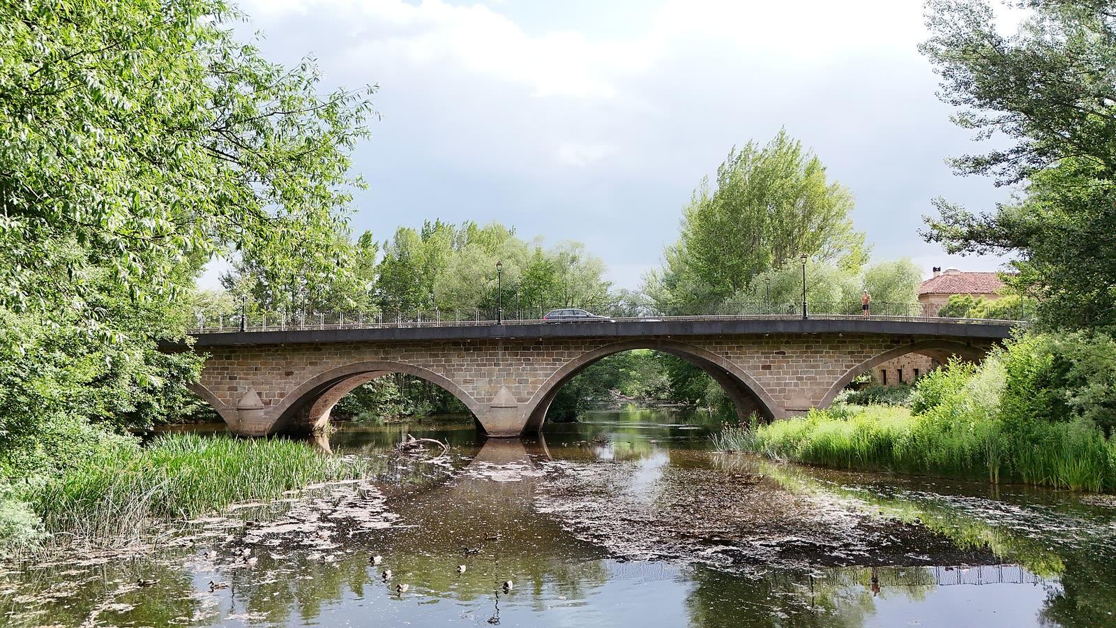 The Puente de Constana carrying a road over the Arlanza River at Salas de los Infantes, Burgos