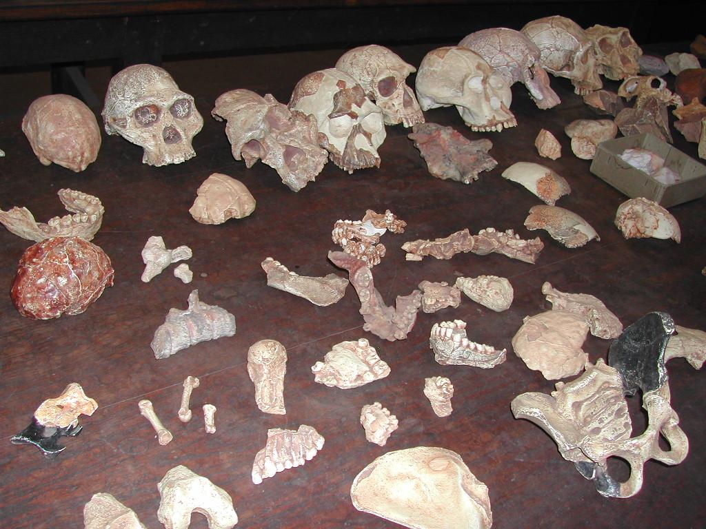 The Sterkfontein Caves site in the Cradle of Humankind World Heritage area, South Africa.