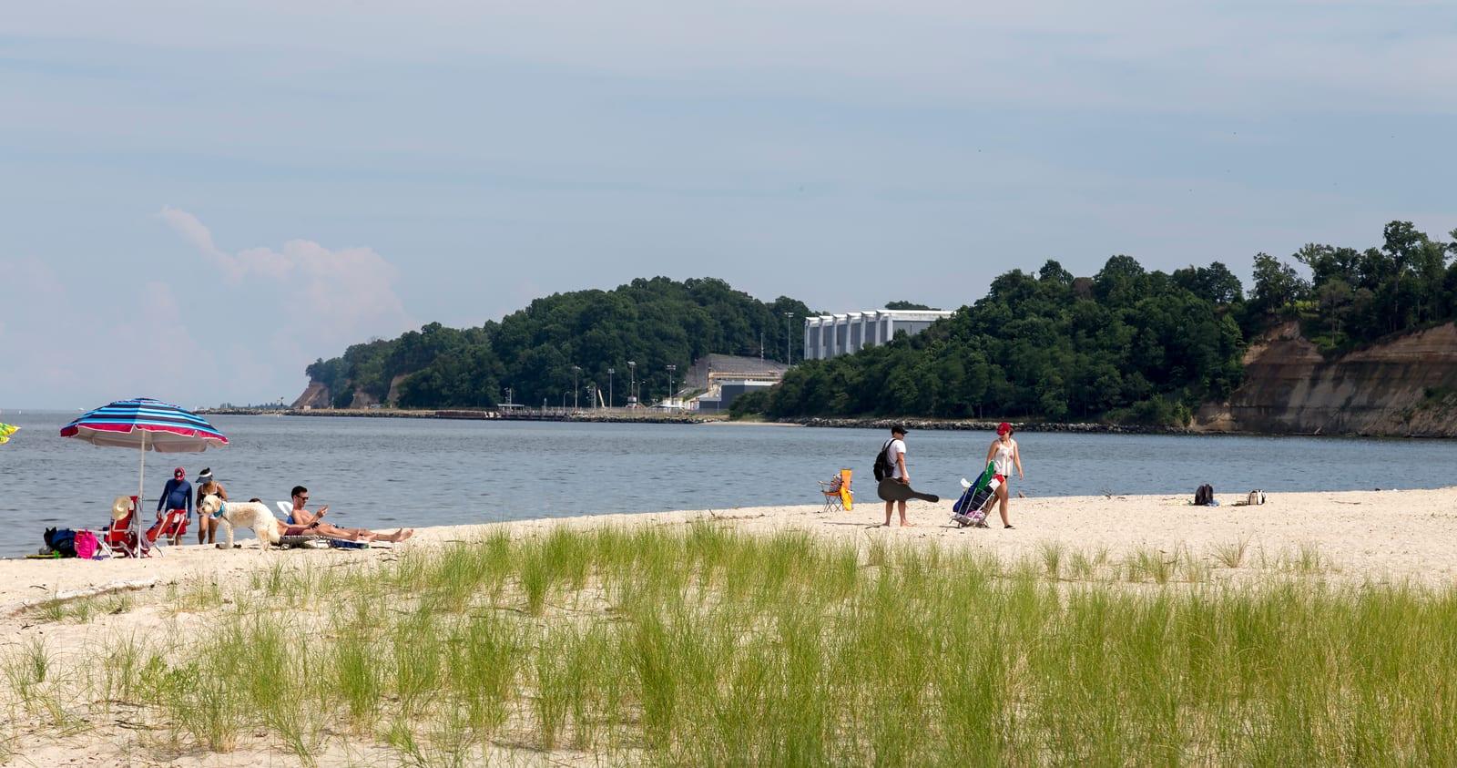 The sand beach below the Calvert Cliffs at Flag Ponds Nature Park on Chesapeake Bay, Maryland.