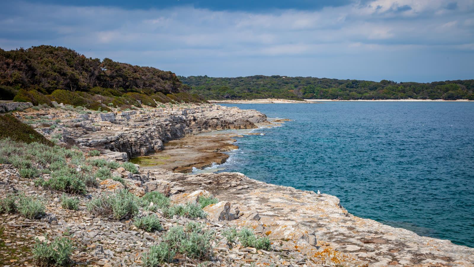Flat pale limestone shelves and low scrub along a Brijuni shore beside bright blue water