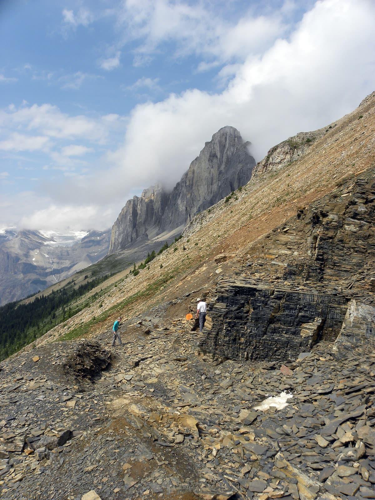 The Walcott Quarry cut into the Burgess Shale high above Field, British Columbia.
