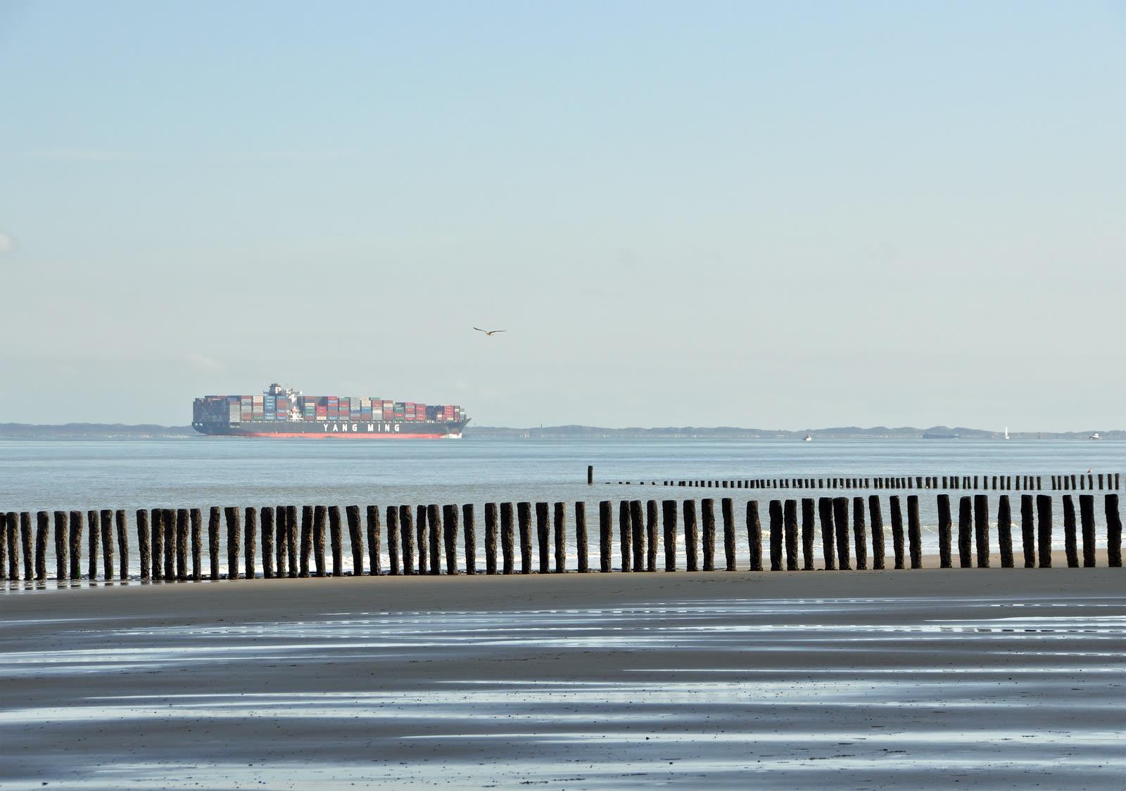 Low-tide sand flat at Cadzand with timber groynes leading toward a container ship