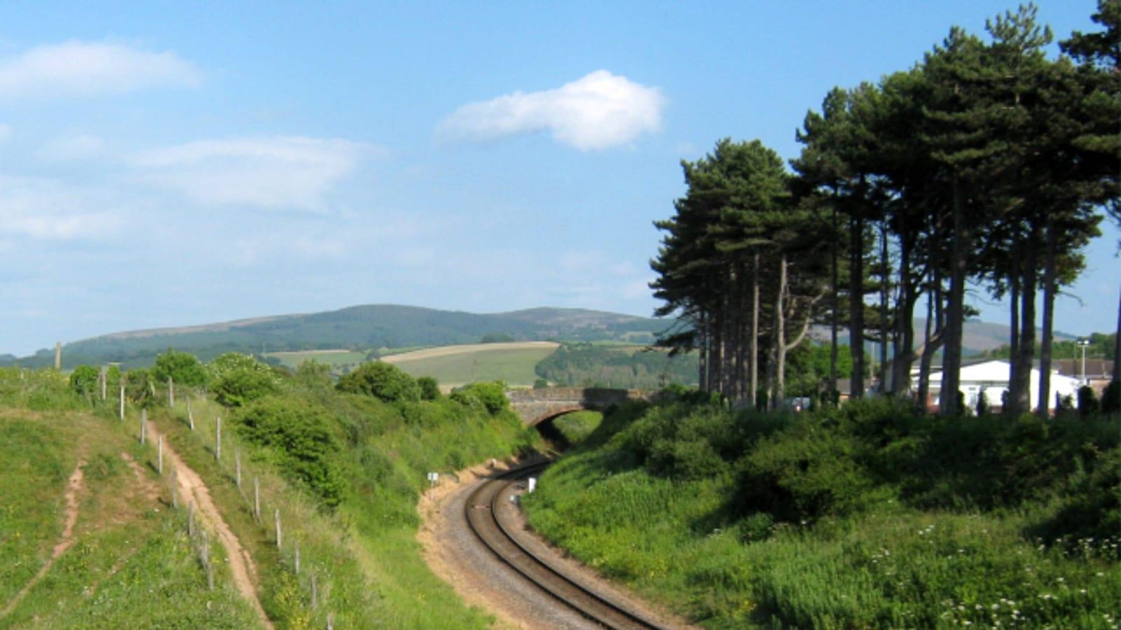 Railway curving through a green cutting with pine trees and the Quantock Hills behind, near Watchet, Somerset.