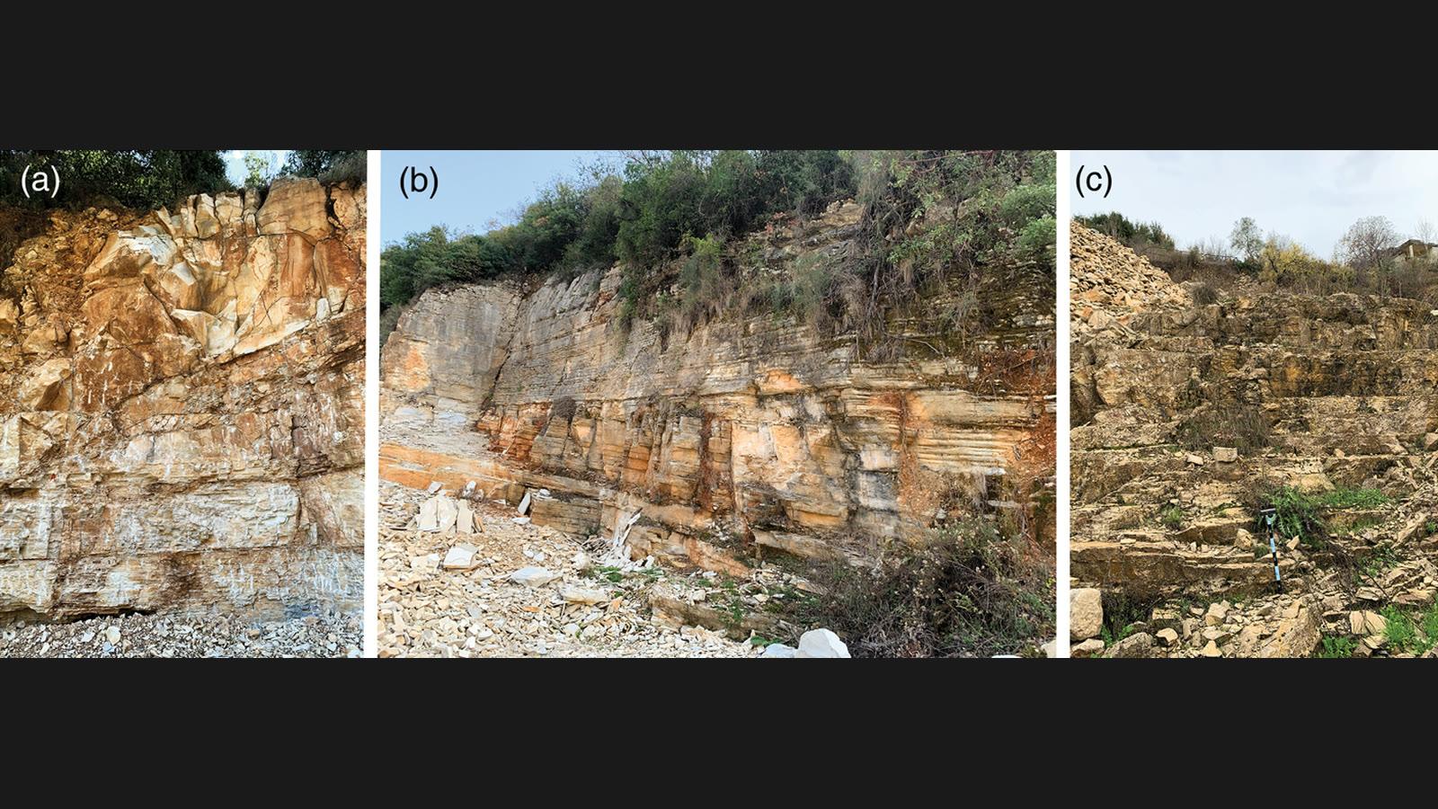 Outcrop photographs of the Sannine Formation Lagerstaetten at Haqel, Nammoura and Hjoula in Lebanon