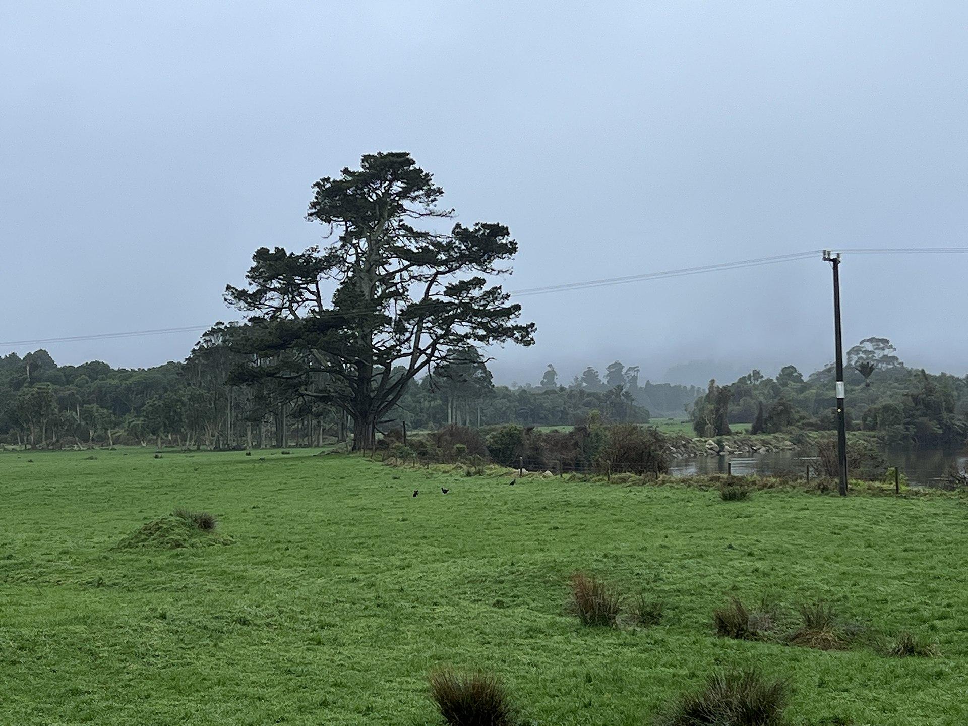 The former farming settlement of Ōpārara on the West Coast of New Zealand, in the valley leading to the Oparara Basin