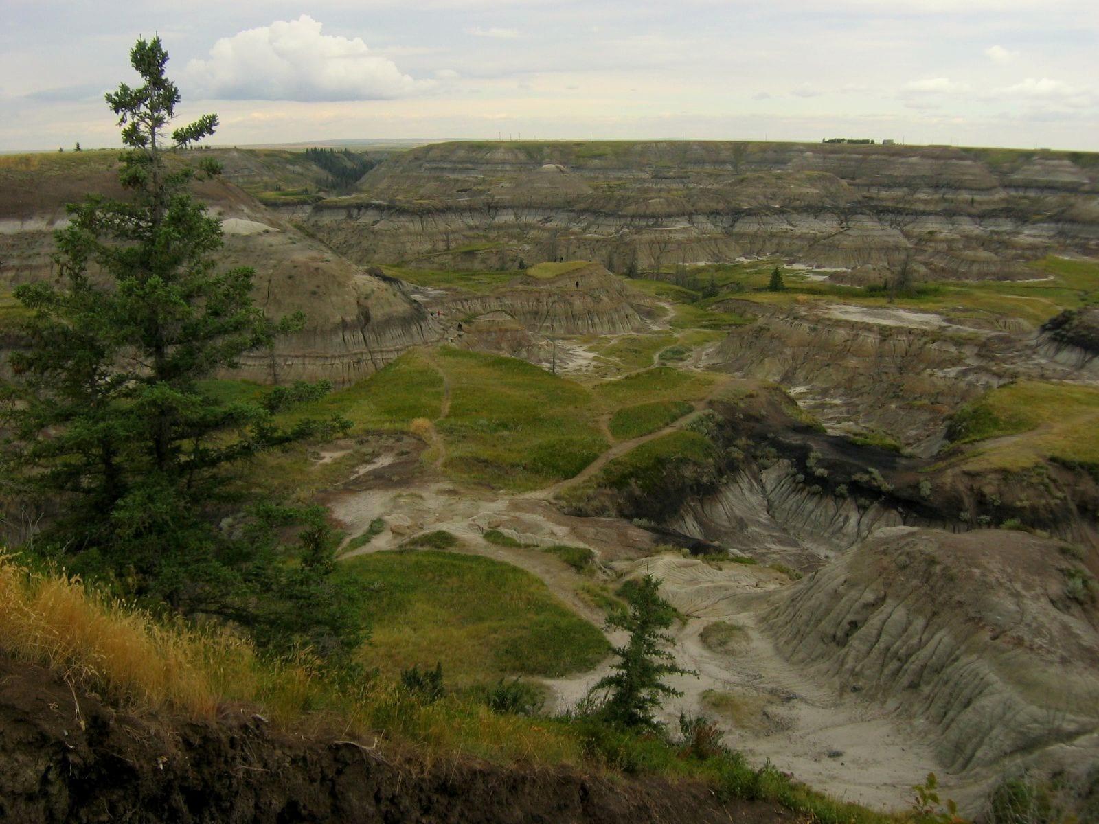The eroded badlands of Horseshoe Canyon west of Drumheller, Alberta.