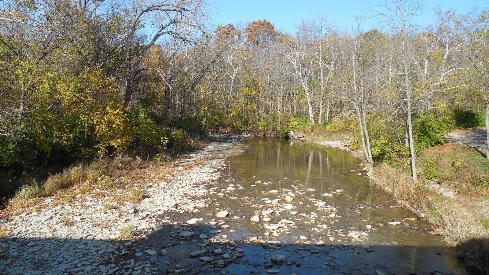 Shallow autumn creek with rocky bed and bare trees reflecting in calm water at Hueston Woods State Park, Ohio.