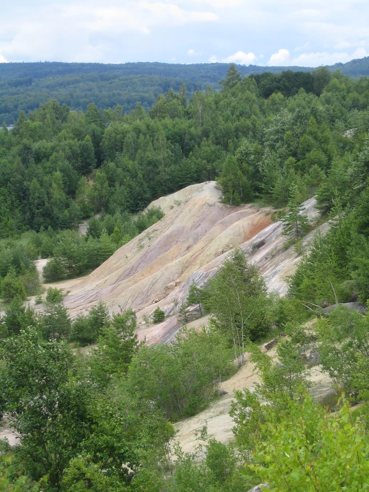 Pink and cream kaolin slopes of the abandoned Ivö Klack quarry among young trees