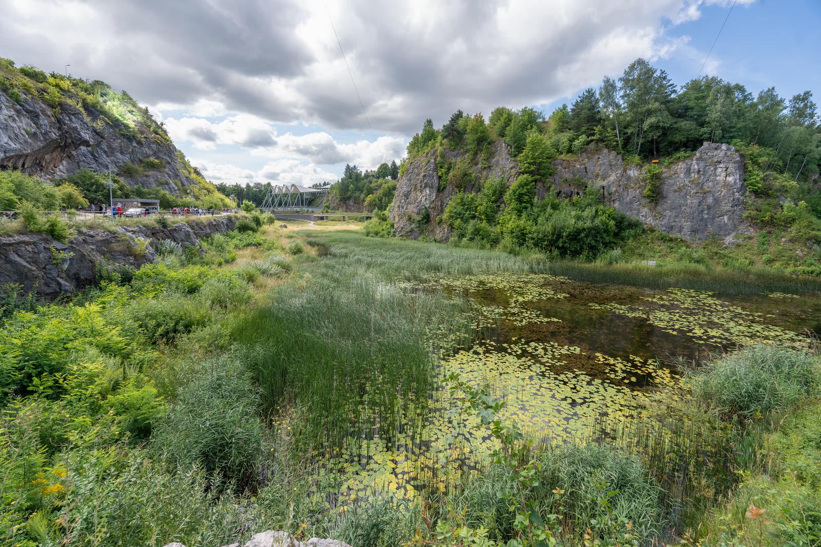 Water lilies on the pond floor of the disused Kadzielnia limestone quarry beneath grey rock walls and trees
