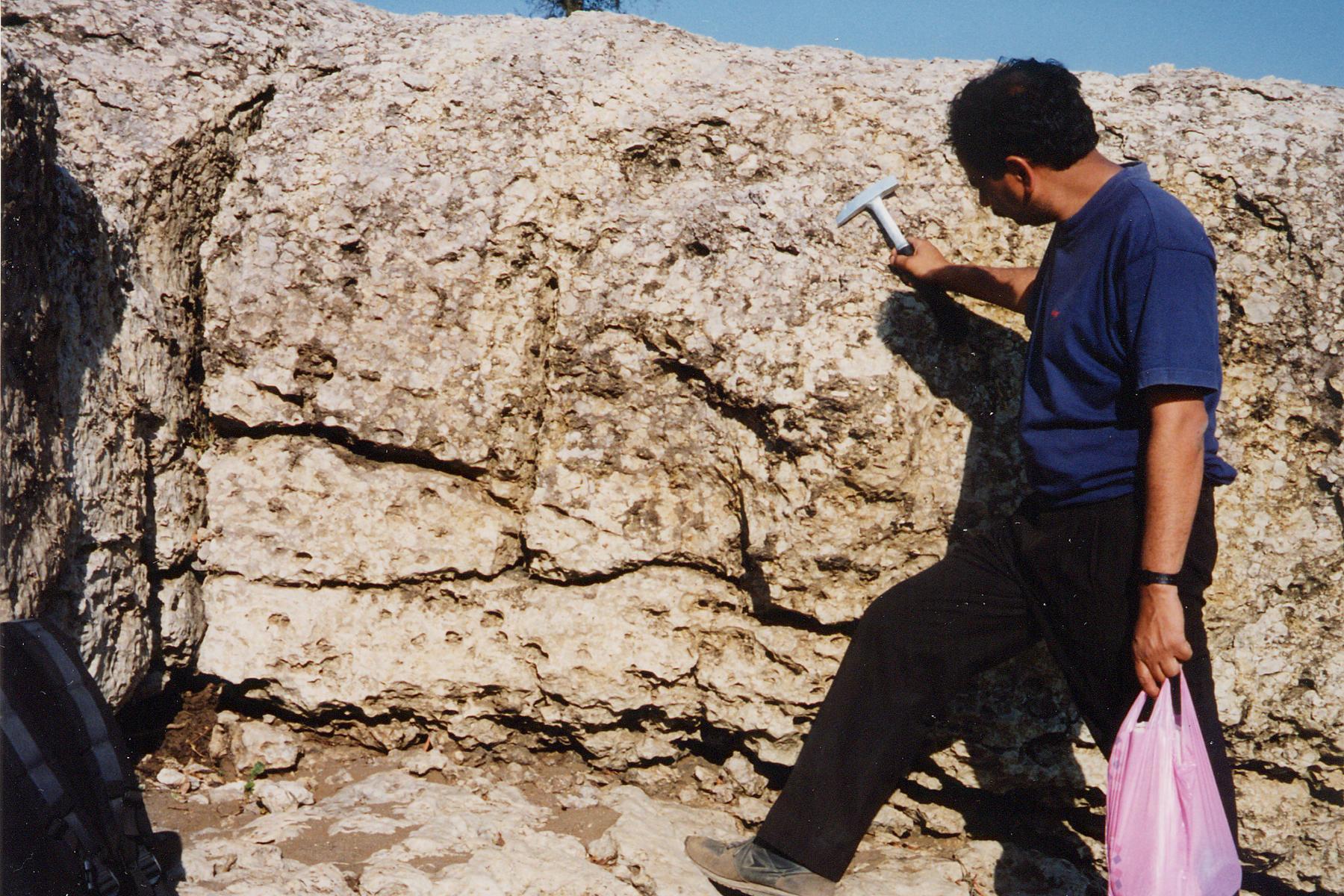 Close view of the Lower Limestone of the Upper Cretaceous Lameta Formation at Lameta Ghat near Jabalpur, part of the type section