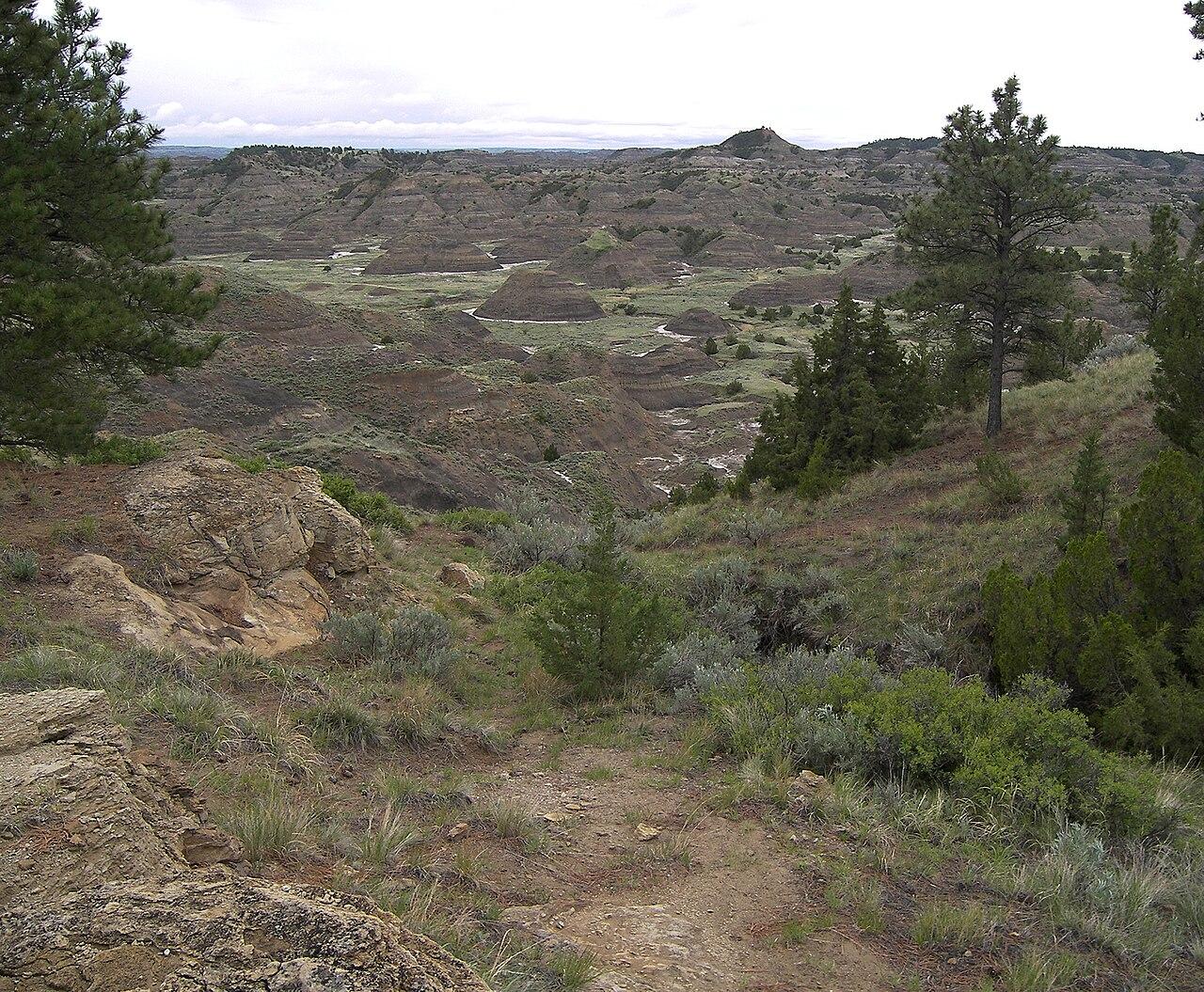 Eroded sandstone badlands stretching to the horizon at Makoshika State Park, Dawson County, Montana.
