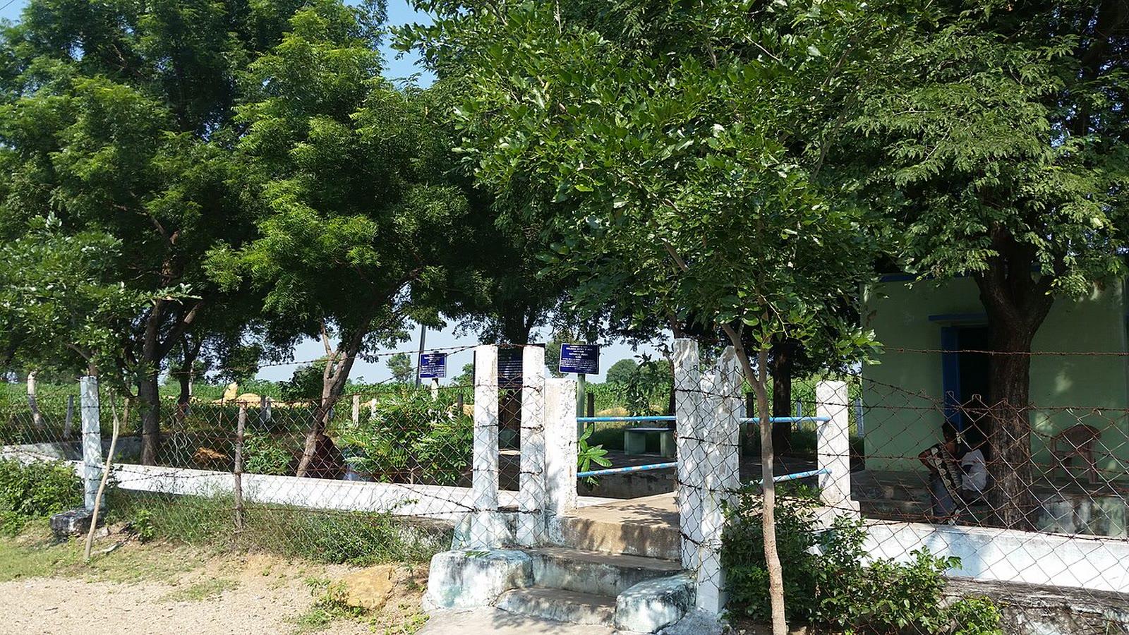 The entrance gate of the National Fossil Wood Park at Sathanur, Perambalur district, Tamil Nadu