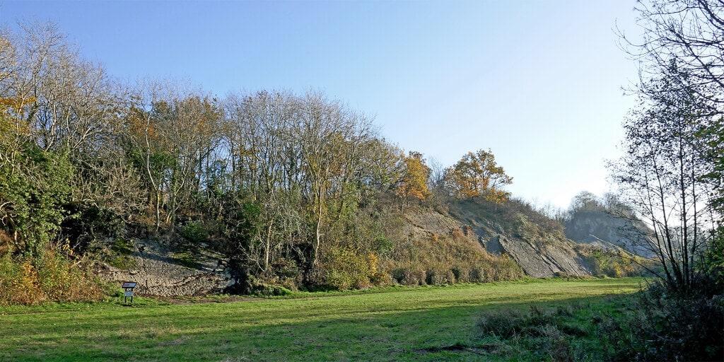 Grassy clearing fringed by autumn trees with a rocky limestone outcrop on the right at Wren's Nest reserve, Dudley.