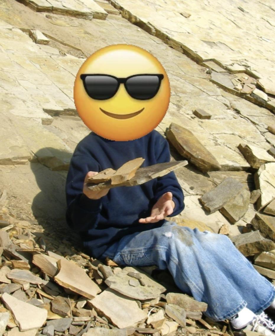 GoFossilHunting — fossil hunting in the field