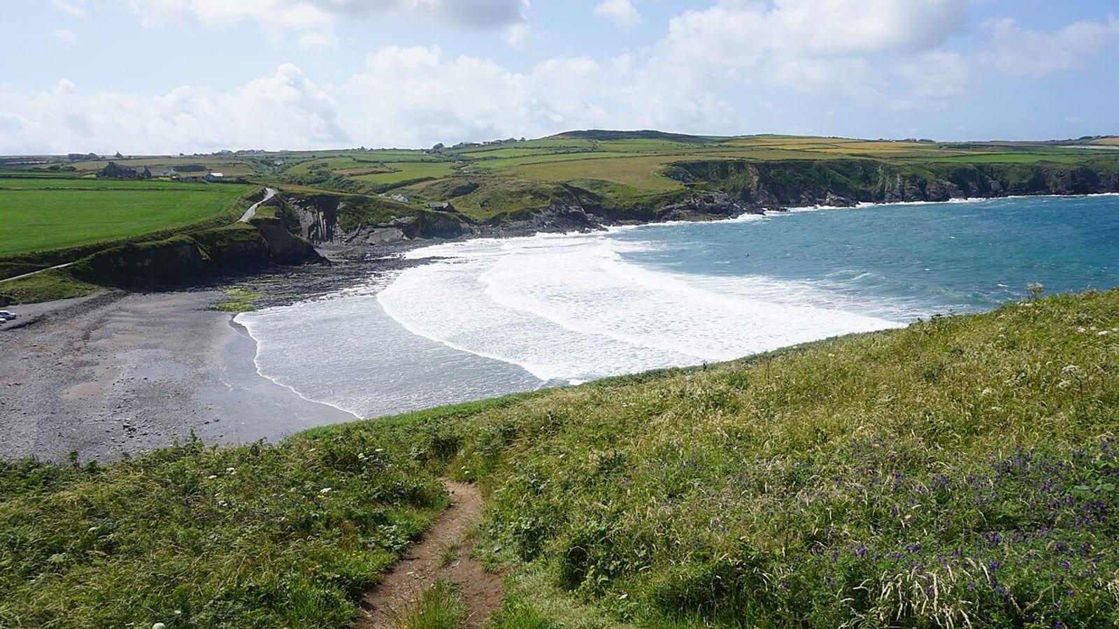 Abereiddy Bay Fossil Hunting Guide