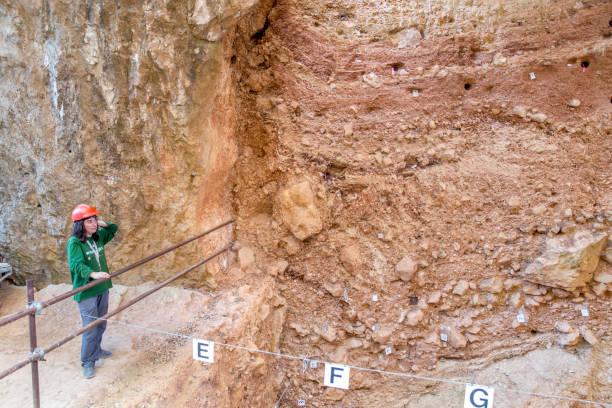 Atapuerca Archaeological Site Fossil Guide