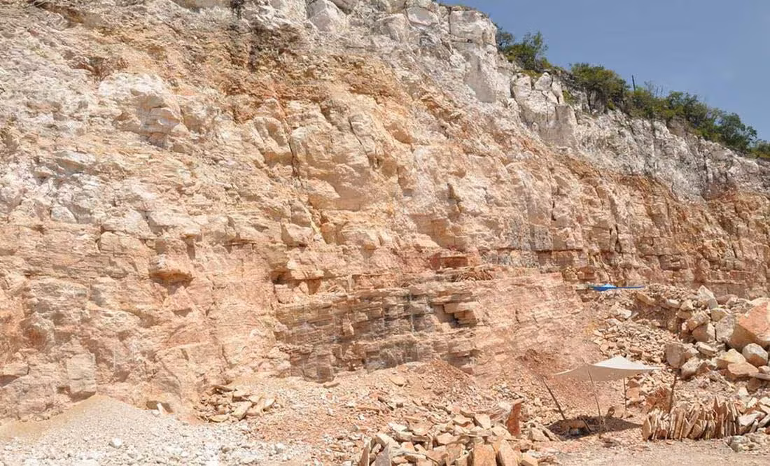Cantera Tlayúa Fossil Quarry Guide