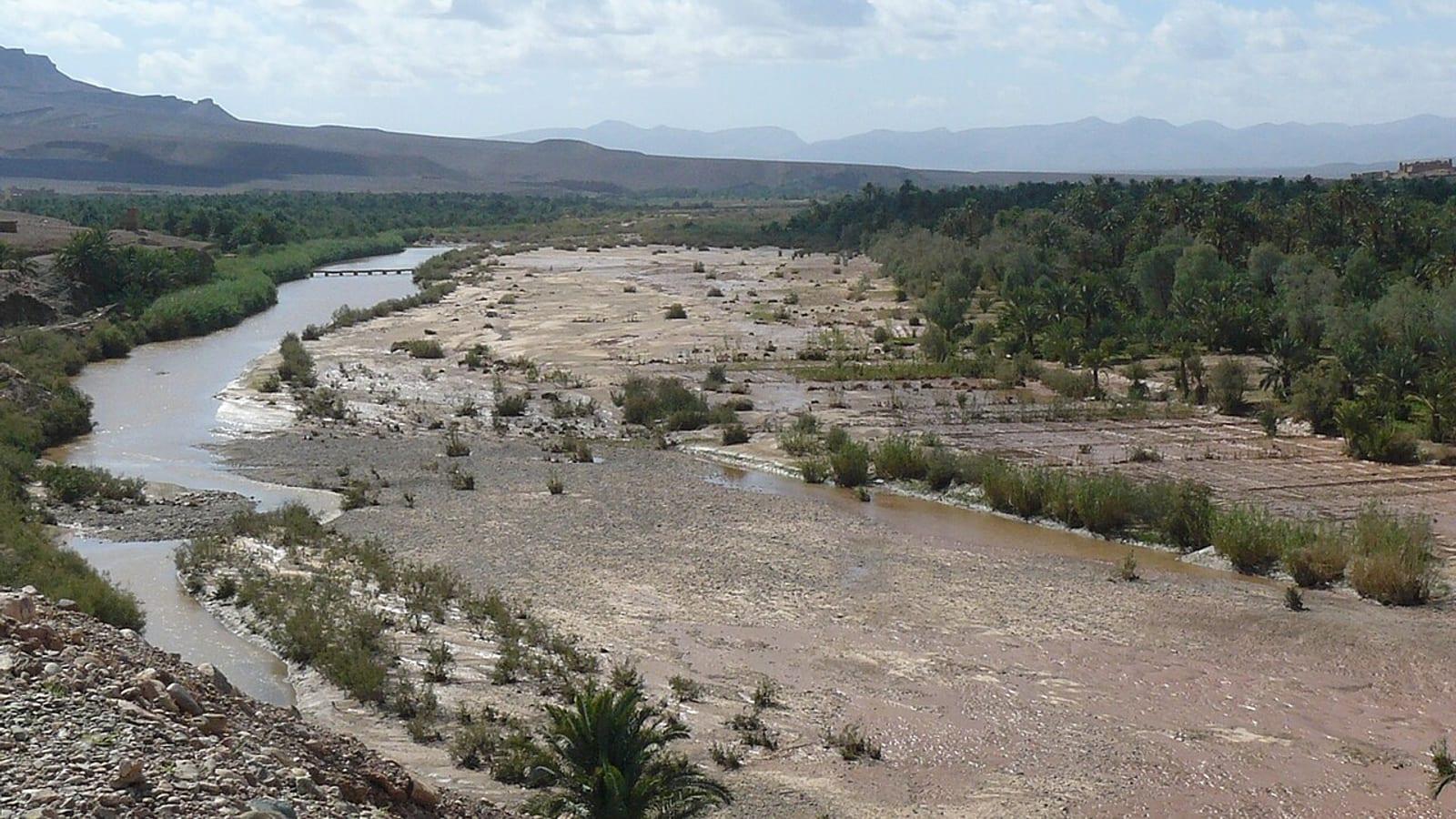 Draa Valley Ordovician Trilobite Site Agdz Morocco