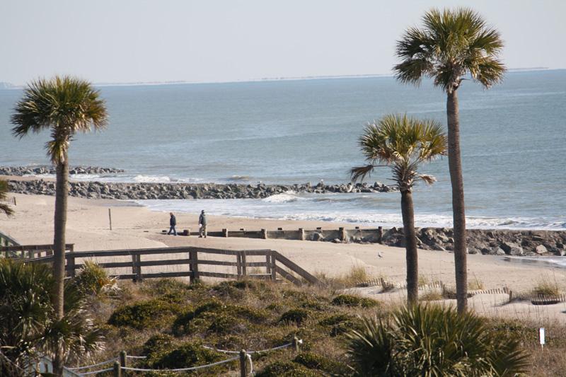 Edisto Beach State Park Fossil Hunting Guide