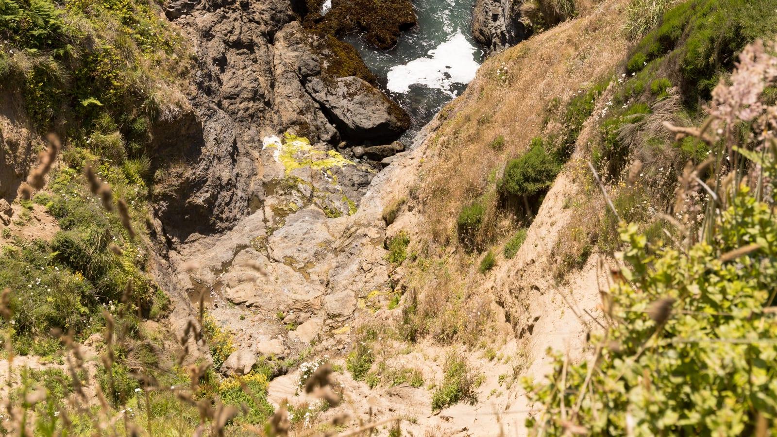 Guide to Finding Fossils at Elk Head