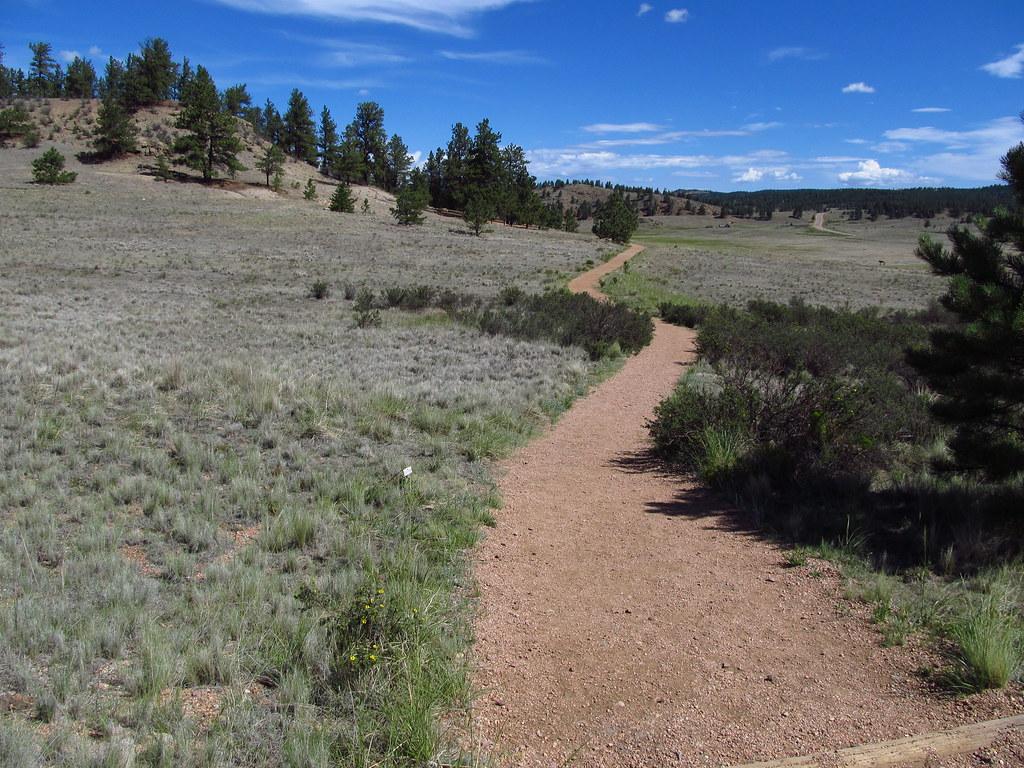 Gravel trail winding through open prairie toward pine-covered hills at Florissant Fossil Beds National Monument.