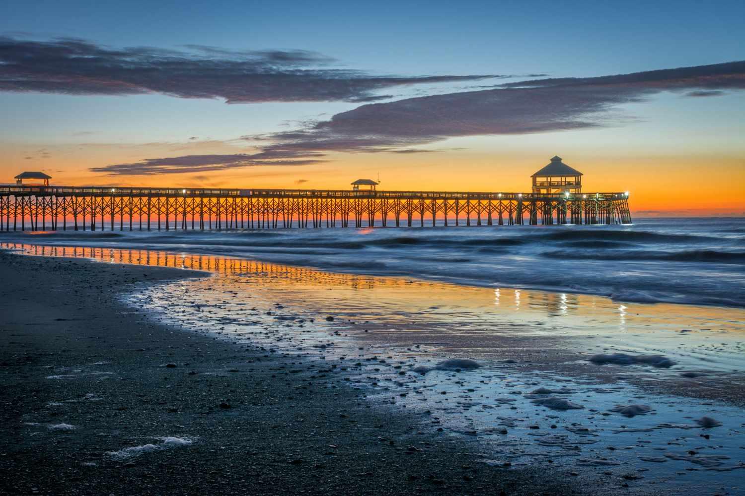 Folly Beach Fossil Hunting Guide
