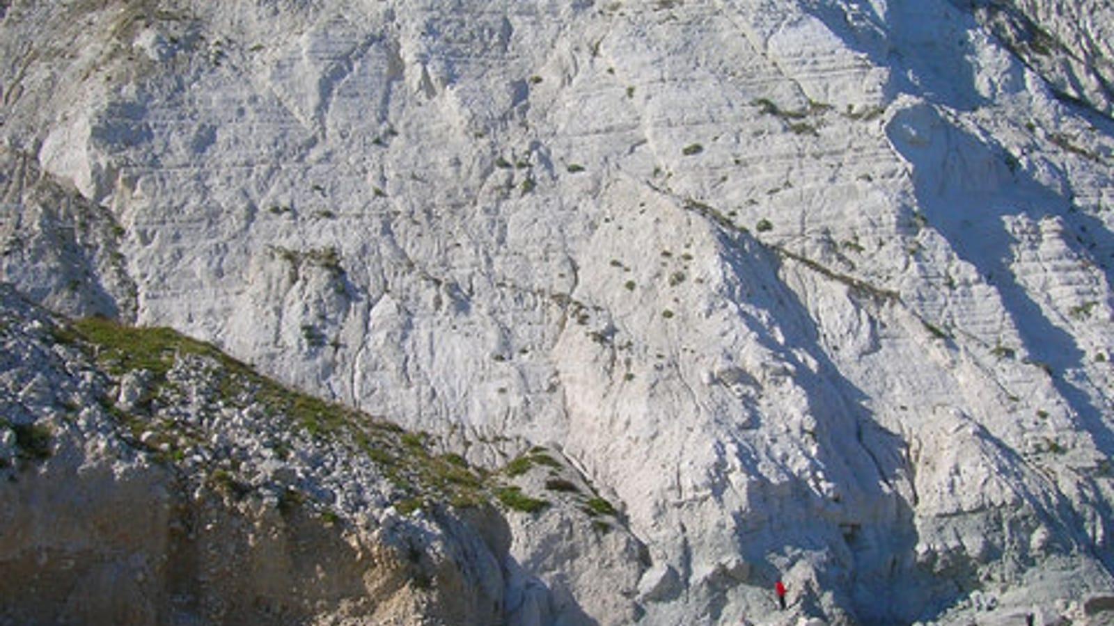 Guide to Finding Fossils at Beachy Head