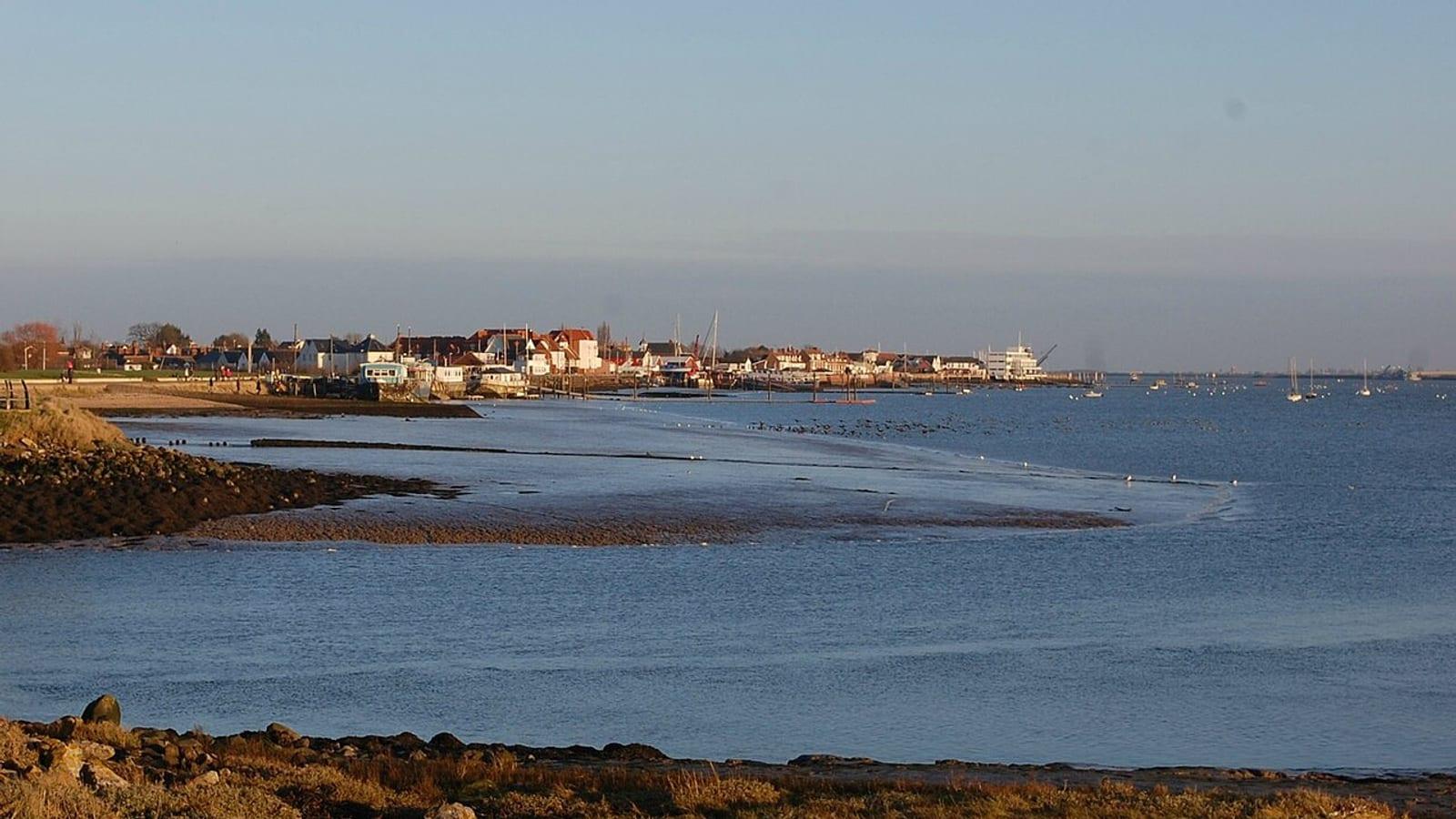 Fossil Hunting Burnham on Crouch Essex London Clay