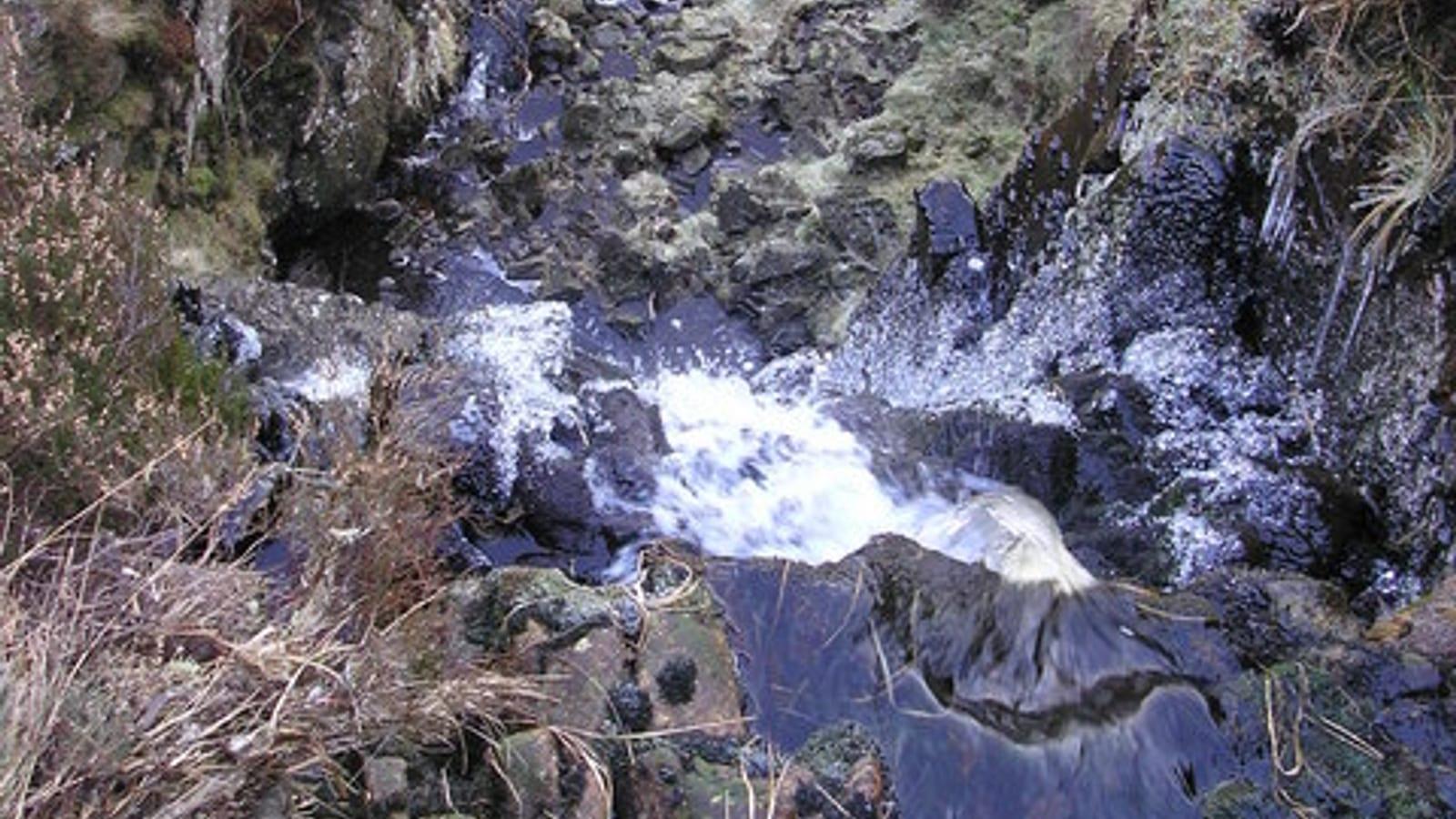 Fossil Hunting Dobs Linn Scottish Borders