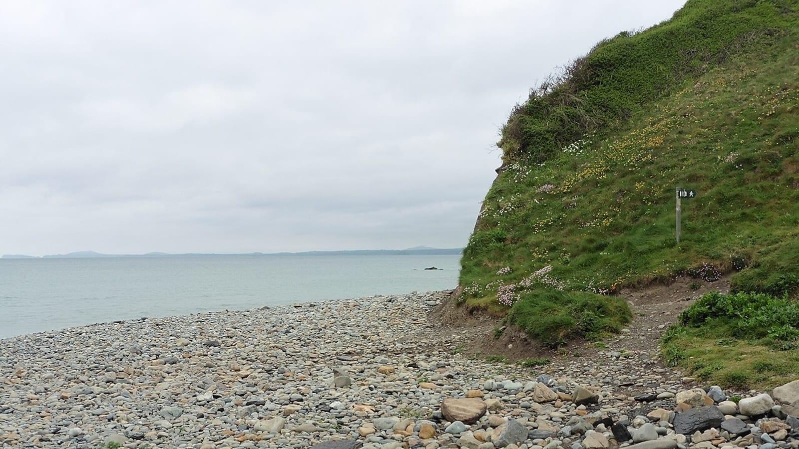 Fossil Hunting Druidston Haven Pembrokeshire