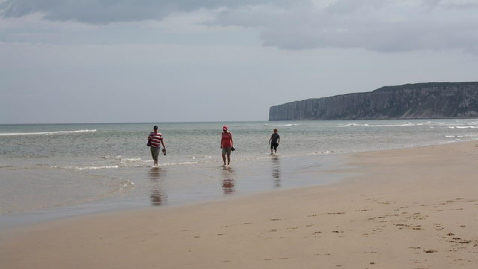 Fossil Hunting Reighton Sands Yorkshire