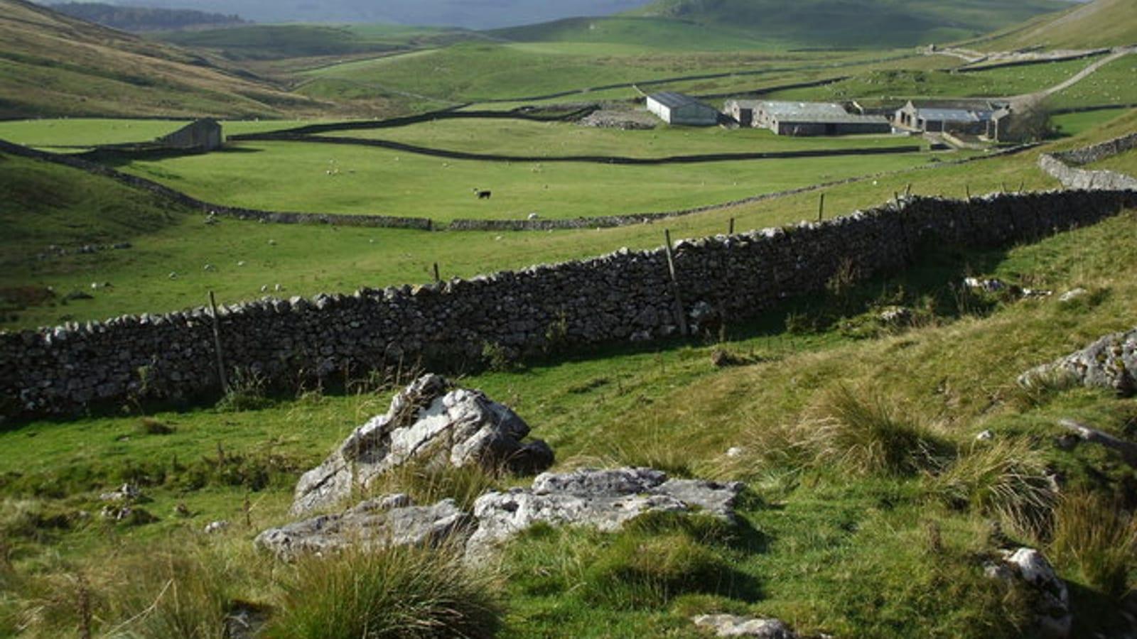 Fossil Hunting Stockdale Silurian Yorkshire Dales