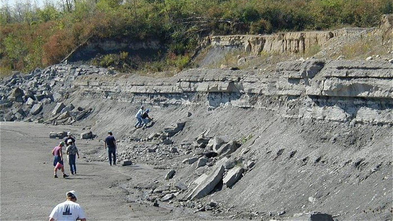 Fossil Park Fossil Hunting Guide