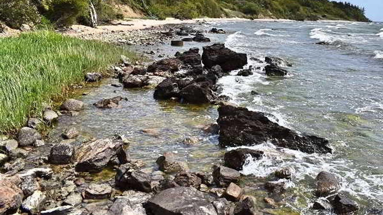 How to Find Campanian Fossils at Arnager Beach Bornholm